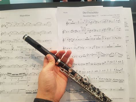 How to Read Flute Sheet Music: A Symphony of Symbols and Sounds